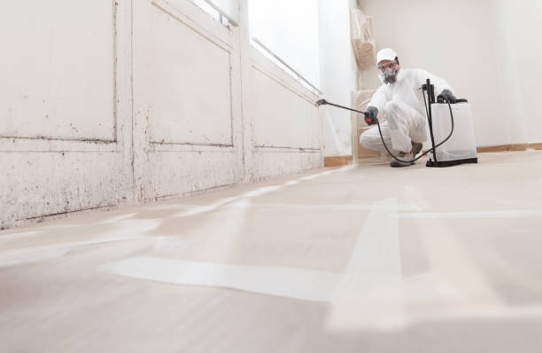 24/7 Emergency Attic Mold Removal experts in Maple, NC